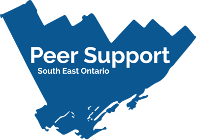 Download Peer Support case study